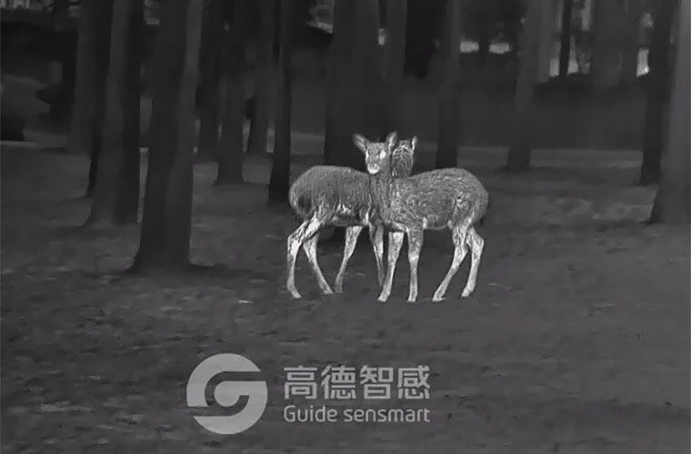 户外夜视仪怎么选 实测对比不同场景下的好用型号