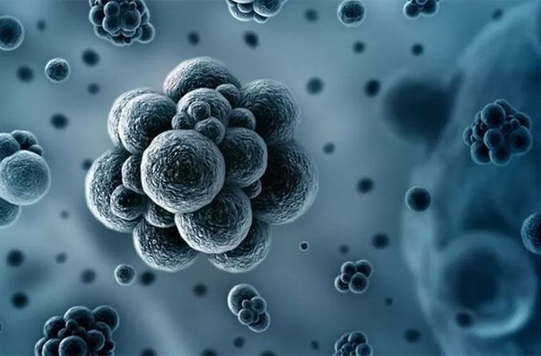 红外世界的“火眼金睛”：3.2μm vs 5.0μm如何“看穿”VOCs？